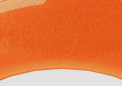 ArganUpdate • Motion Graphics